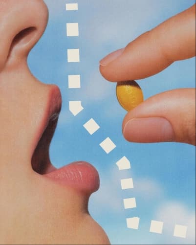 BSS Berliner Startup Stipendium Partners